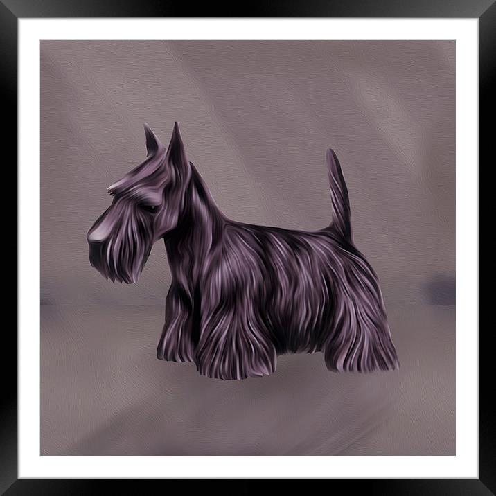  Oil Painted Scottish Terrier Framed Mounted Print by Tanya Hall