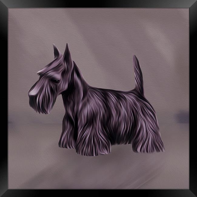  Oil Painted Scottish Terrier Framed Print by Tanya Hall