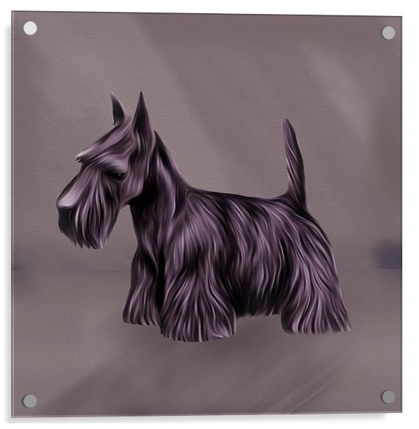  Oil Painted Scottish Terrier Acrylic by Tanya Hall