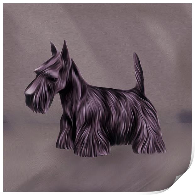  Oil Painted Scottish Terrier Print by Tanya Hall