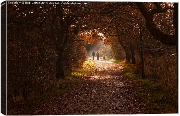 The Wirral Way Canvas Print by Rob Lester