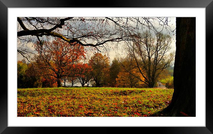  Autumn on Hampstead-heath Framed Mounted Print by Heaven's Gift xxx68