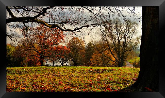  Autumn on Hampstead-heath Framed Print by Heaven's Gift xxx68
