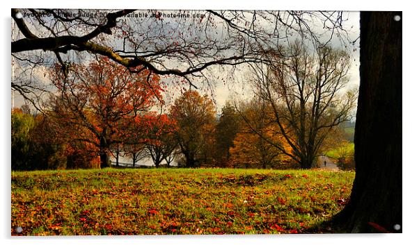  Autumn on Hampstead-heath Acrylic by Heaven's Gift xxx68