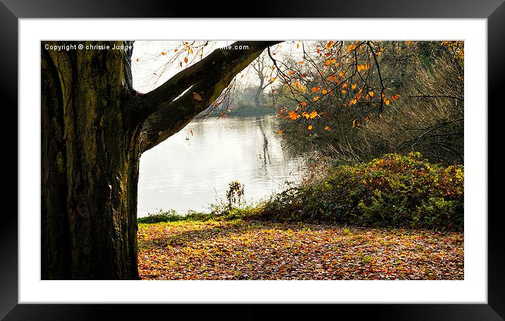  Autumn parliment hill fields london England uk  Framed Mounted Print by Heaven's Gift xxx68
