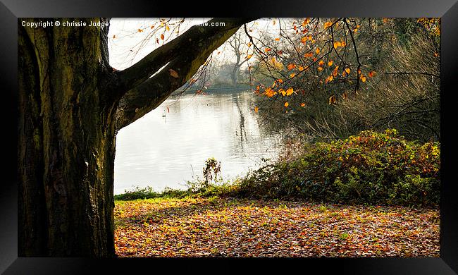  Autumn parliment hill fields london England uk  Framed Print by Heaven's Gift xxx68