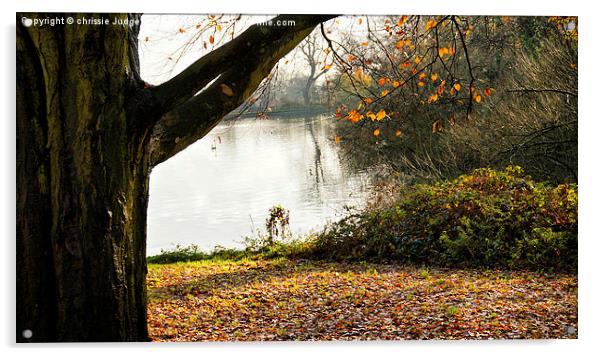 Autumn parliment hill fields london England uk  Acrylic by Heaven's Gift xxx68