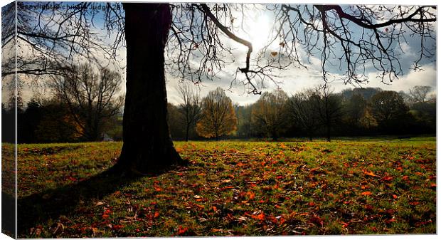  autumn days on the heath Canvas Print by Heaven's Gift xxx68