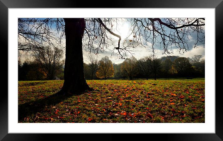  autumn days on the heath Framed Mounted Print by Heaven's Gift xxx68