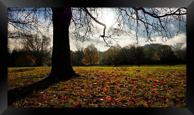  autumn days on the heath Framed Print by Heaven's Gift xxx68