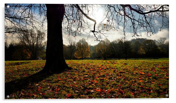  autumn days on the heath Acrylic by Heaven's Gift xxx68