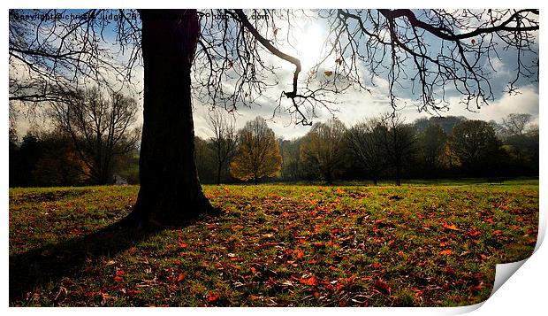  autumn days on the heath Print by Heaven's Gift xxx68