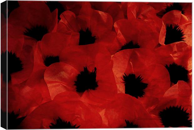  paper poppies Canvas Print by Heather Newton