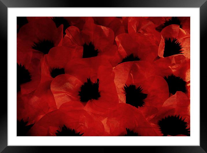  paper poppies Framed Mounted Print by Heather Newton