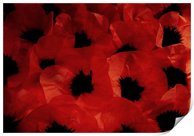  paper poppies Print by Heather Newton