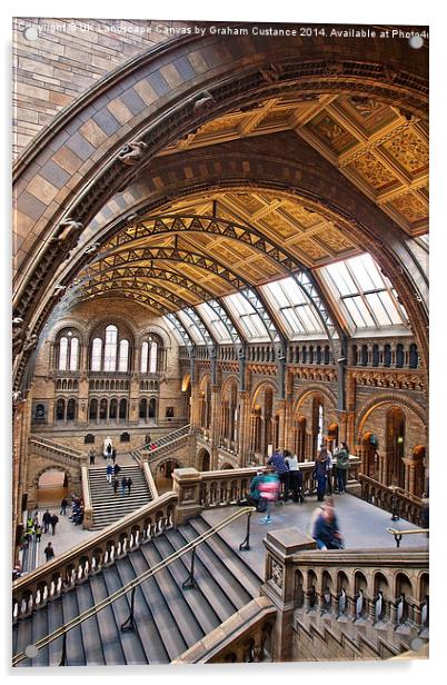  Natural History Museum Acrylic by Graham Custance