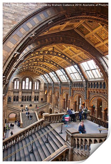  Natural History Museum Print by Graham Custance