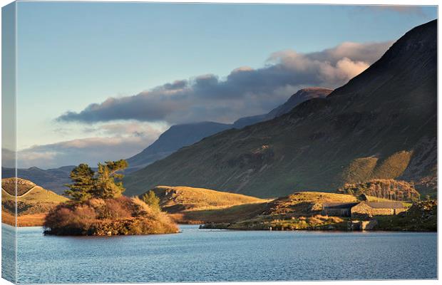  Creggenen lake and Cader Idris Canvas Print by Rory Trappe