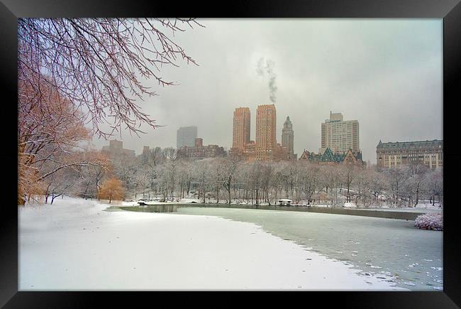  Snow in Central Park. Framed Print by Mark Godden