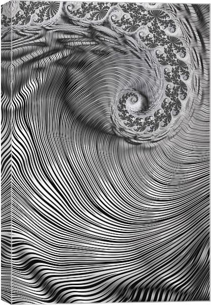 Zebra Swirls Canvas Print by Steve Purnell