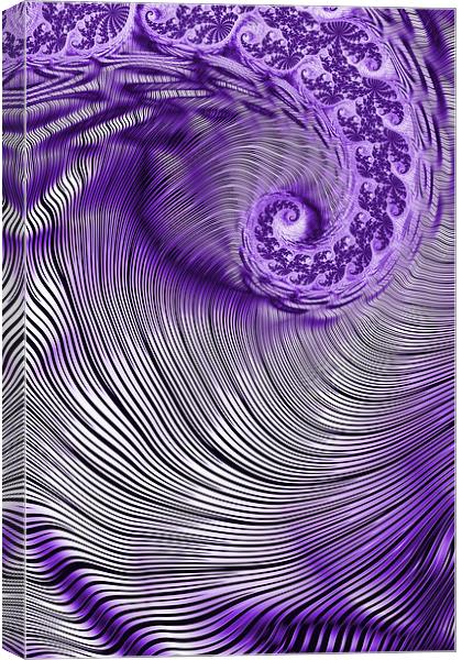 Zebra Swirls 2 Canvas Print by Steve Purnell