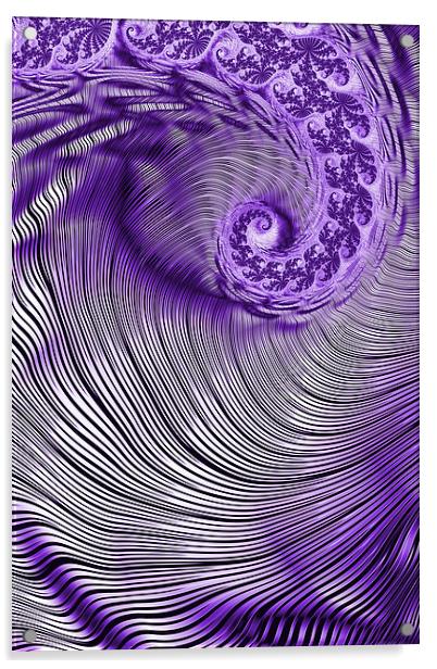 Zebra Swirls 2 Acrylic by Steve Purnell