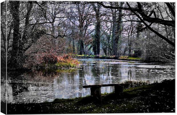 Magical Lake at the priory Canvas Print by sylvia scotting