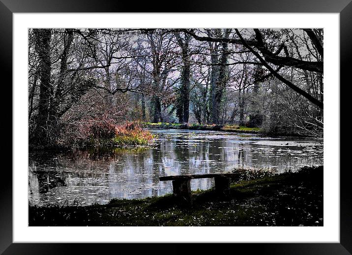 Magical Lake at the priory Framed Mounted Print by sylvia scotting