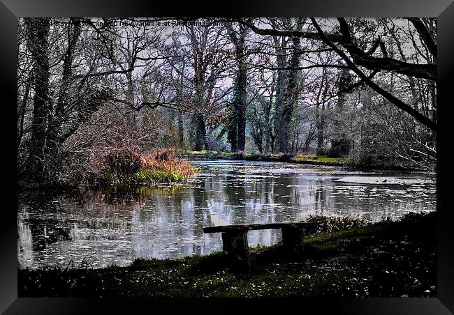 Magical Lake at the priory Framed Print by sylvia scotting