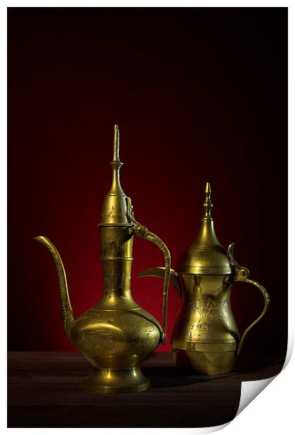 Two Arabic Coffee Pots Print by Ann Garrett