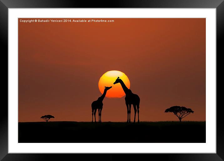  African Sunset Framed Mounted Print by Bahadir Yeniceri