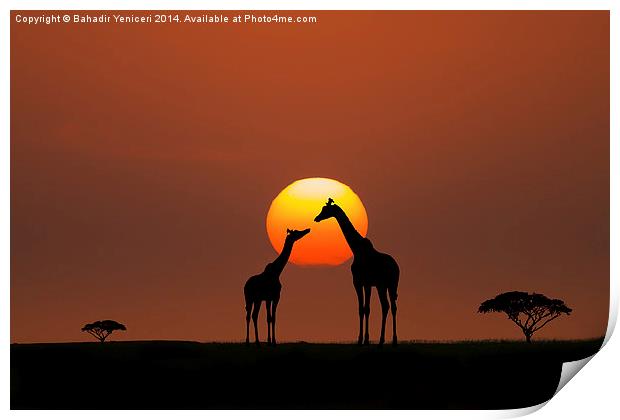  African Sunset Print by Bahadir Yeniceri