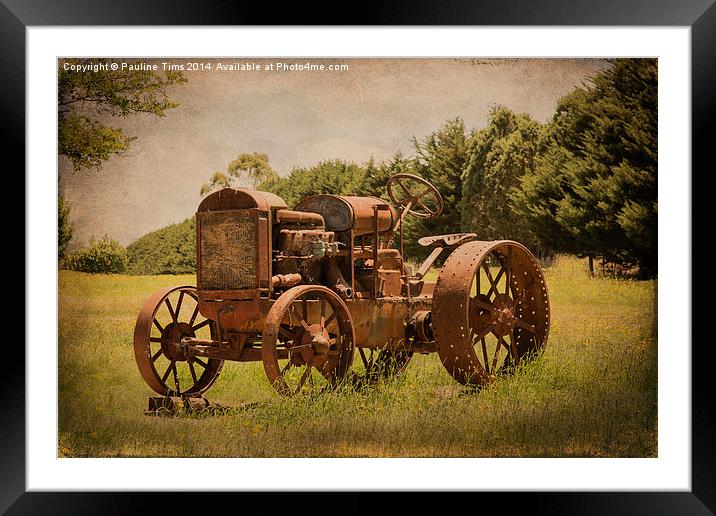  Rusty Relic Framed Mounted Print by Pauline Tims