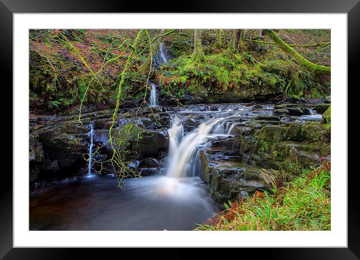  Woodland Falls Framed Mounted Print by David Hare