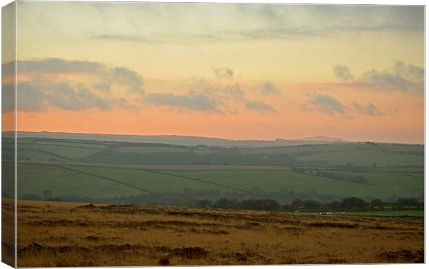 A Winter Evening on Exmoor  Canvas Print by graham young