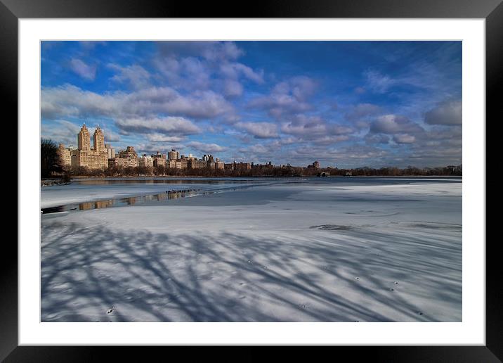 Tree Shadows in NYC.  Framed Mounted Print by Mark Godden