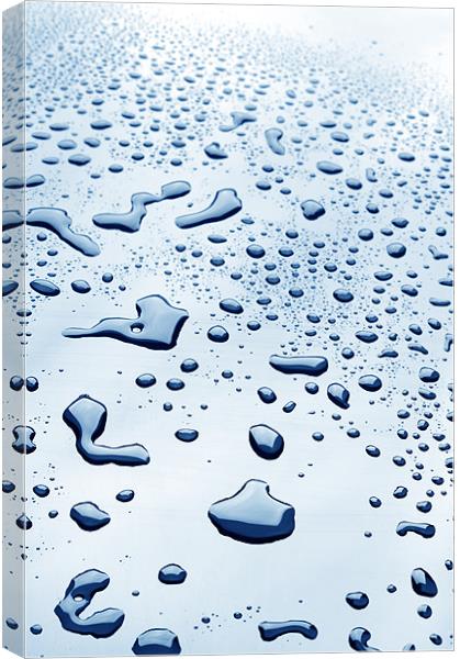water drops Canvas Print by Josep M Peñalver