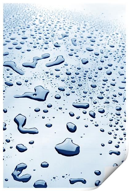 water drops Print by Josep M Peñalver