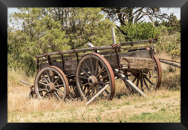 Vintage Farm Cart at Clarkefield, Victoria, Austra Framed Print by Pauline Tims