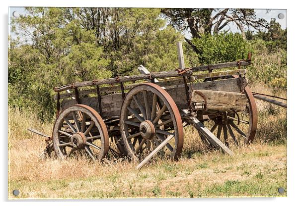 Vintage Farm Cart at Clarkefield, Victoria, Austra Acrylic by Pauline Tims