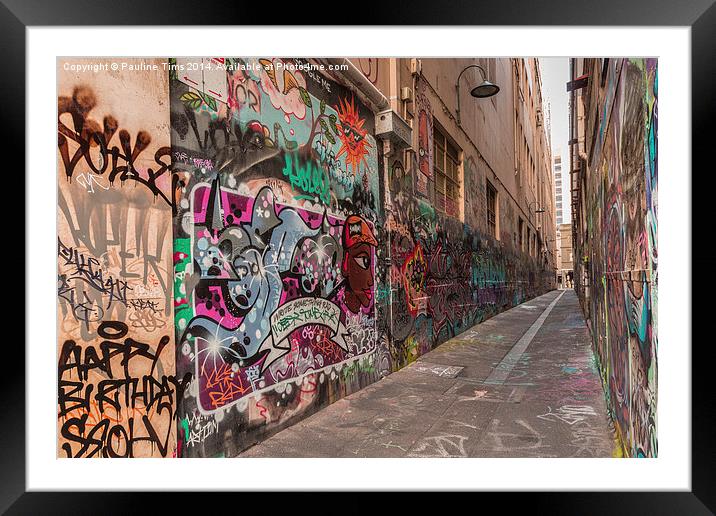 Union Lane Melbourne Graffiti  Framed Mounted Print by Pauline Tims