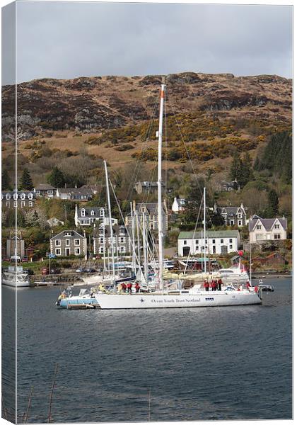  Wind In Our Sails Canvas Print by Ros Ambrose