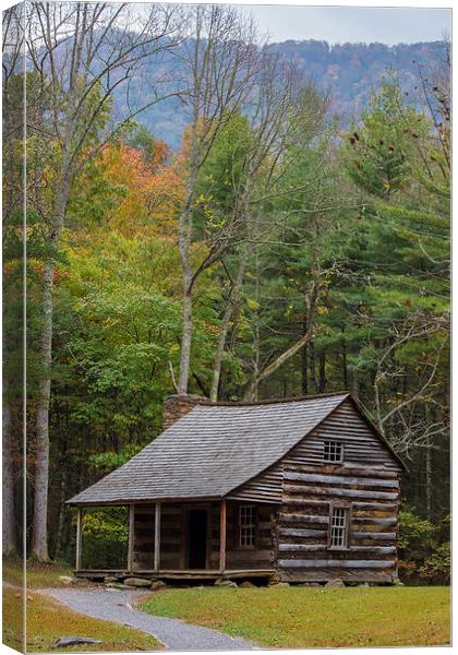  Cabin in the Woods Canvas Print by Timothy Bell