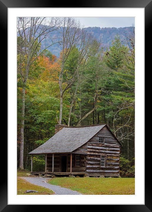  Cabin in the Woods Framed Mounted Print by Timothy Bell