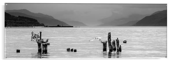 Loch Ness from Dores, Scotland Acrylic by Veli Bariskan
