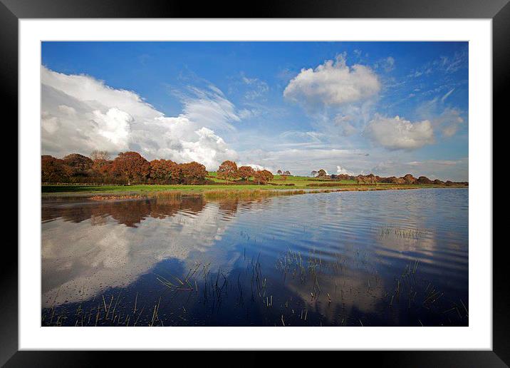  Watery wonderland Framed Mounted Print by Stephen Prosser