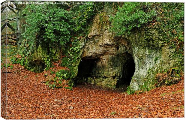 King Arthurs Cave  Canvas Print by Diana Mower