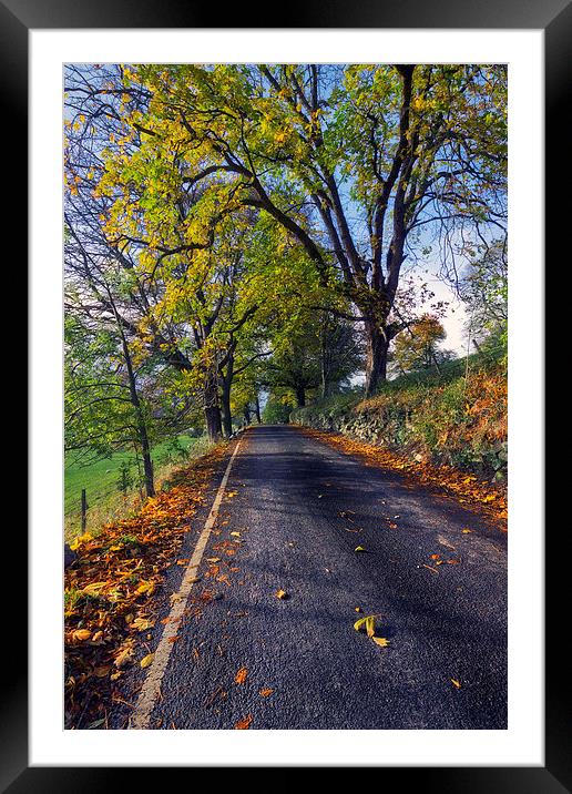 Walks In The Autumn  Framed Mounted Print by Ian Mitchell