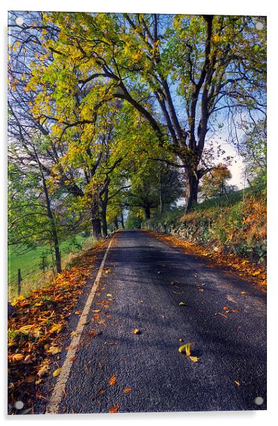 Walks In The Autumn  Acrylic by Ian Mitchell