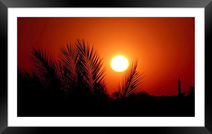  Sunsets over the Nile Framed Mounted Print by Charlotte Moon